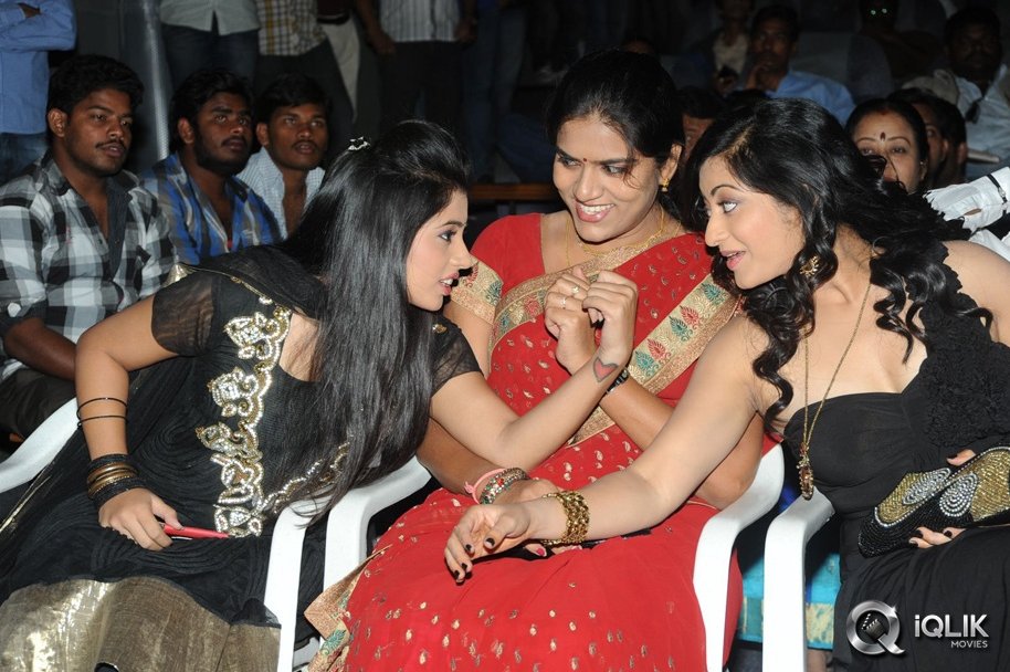 Cut-Chesthe-Movie-Audio-Launch